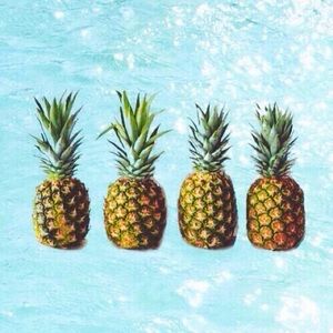 Meet your Posher, Maggie